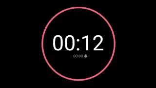 12 Second Countdown Timer / iPhone Timer Style