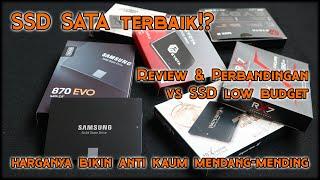 SSD SATA Terbaik?? - Samsung 870 Evo vs RX7 vs Eyota - Test & perbandingan