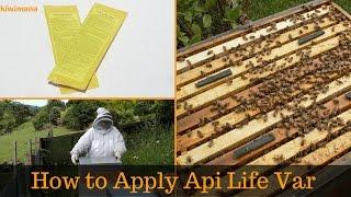 How to Apply Api Life Var