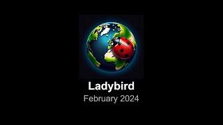 Ladybird browser update (February 2024)