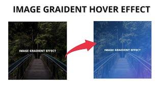 CSS Image Gradient Hover Effect