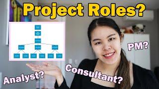 WHAT makes up a TECHNOLOGY CONSULTING Project Team