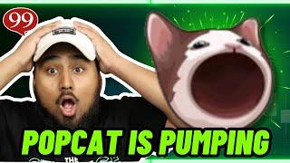 Popcat meme coin is pumping! (BUY NOW?!) Top Crypto Meme Coin Gainer!!!