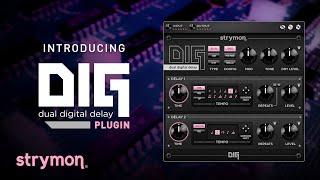 Introducing DIG Dual Digital Delay Plugin From Strymon