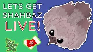 MOPE.IO LETS GET RARE SHAHBAZ !! LIVESTREAM