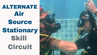 PADI Skill Circuit - Alternate Air Source Stationary Divemaster & PADI IDC Skills Circuit