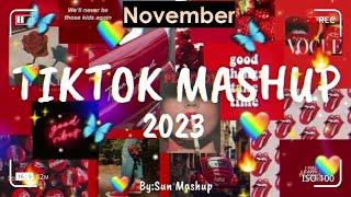 tiktok mashup 2023 November (clean)