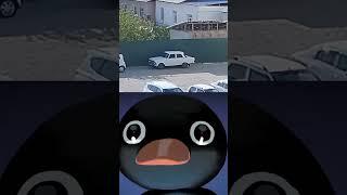 not not meme, Hyundai Москвич, #notnot #penguin #car #cars #viral #tiktok #top #best #video #memes