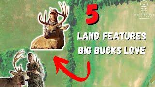 Here Are 5 Key Land Features Big Bucks Use As Travel Routes