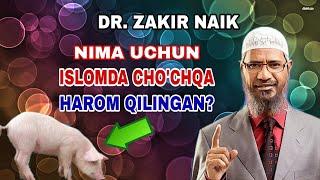 NIMA UCHUN ISLOMDA CHO'CHQA HAROM QILINGAN DR. ZAKIR NAIK