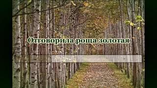 Отговорила роща золотая (романс)- караоке