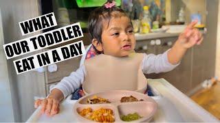 WHAT OUR TODDLER EAT IN A DAY | බබා දවස පුරා කන දේවල් | Binario 12