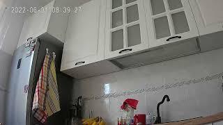 SwitchBot Pan/Tilt Cam - Video Quality during the day and during the night