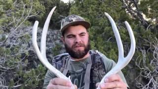 SAHN VLOG: SHED HUNTING UTAH OPENING DAY