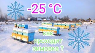 Зимовка пчёл на улице в мороз! ️️️ПЧЕЛОВОДСТВО!