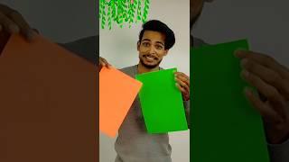 Indian flag flower #shorts #trending #viral #papercraft #mrdas