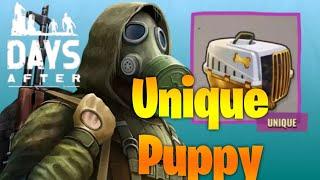 Days After -Zombie Survival Game FINDING A UNIQUE PUPPY