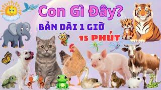 CON GÌ ĐÂY? TỔNG HỢP CÁC LOÀI ĐỘNG VẬT - BẢN DÀI NHẬN BIẾT CON VẬT: CON BÒ, LỢN, CHÓ, VOI, MÈO, GÀ