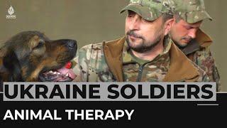 Ukraine soldiers ride out war stress with animal therapy