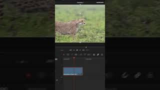 How To Smooth Out Your Animations In Davinci Resolve #davinciresolve