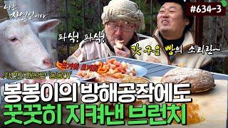 봉봉이도 탐내는 장뽈씨의 갓 구운빵과 브런치..그 맛은?!｜자연인 다시보기 634-3