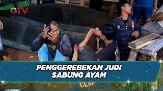 Polisi Gerebek Arena Judi Sabung Ayam di Purwakarta, Jawa Barat - BIM 22/07
