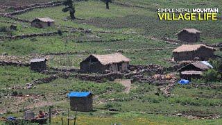 The Simple Life in Nepal's Mountain Villages: A Fascinating Insight || IamSuman