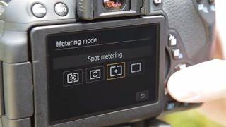 Understanding Metering Modes - How to Use Your Camera, Part 5