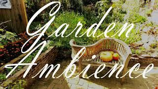 Garden Ambience | wind chimes and birds singing | 6 hour relaxation.