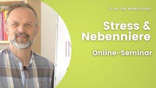 Stress & Nebenniere - Online-Seminar 11.11.20, Dr. rer. nat. Markus Stark