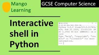 Interactive Shell in Python