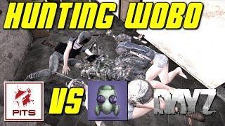 Hunting WOBO | Pitstop Head vs WOBO