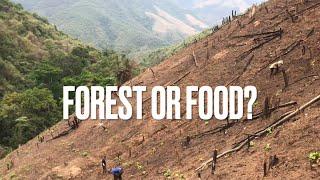 Deforestation During Laos’s Burning Season  Planting Chilli W/ Khmu Farmer |Travel Se Asia 2021