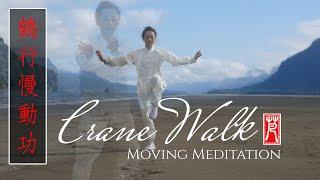 Crane Walk Moving Meditation | 20-min Morning Qigong for Longevity with Vivien Chao