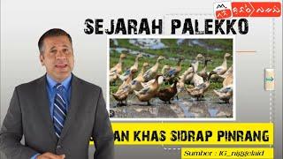 SEJARAH NASU PALEKKO