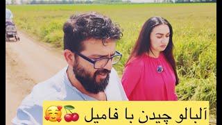 cherry day with family البالو چیندن با فامیل