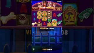 Big win alla slot dog house megaways a bet €0.20. #casino #casinoonline #doghouse #slot