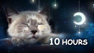 10 HOURS - Relaxing Lullaby for Cat and Kitten (with Cat purring sounds) CAT MUSIC