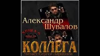 06.  Александр Шувалов - Боевые псы империи.  Коллега.  Книга 6.