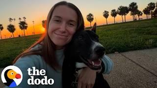 Dog Goes Wild When It's Time For Run Club | The Dodo