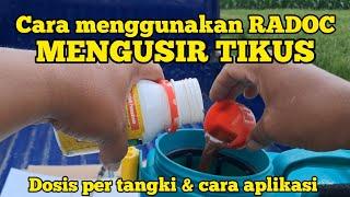 RADOC 500EC MENGUSIR TIKUS AGAR TIDAK MASUK LAHAN