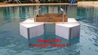 Autonomous Surface Vehicle ( SRM ASV ) - Prototype 1