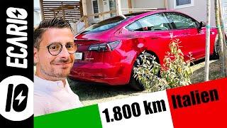 Als Familie mit dem E--Auto nach Italien: DAS haben wir erlebt!