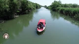 Excursie privata in Delta Dunarii, mai 2020 by Ciprian Safca. Private tour Danube Delta in may 2020