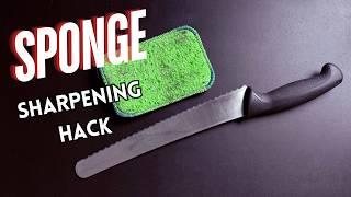 The $1 Sponge Trick That Will Transform Your Dull Bread Knife