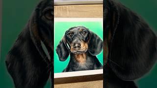 Sausage dog #dog #dogs #dogdrawing #pets #petportrait #drawing #art #dachshund #painting #pastelart