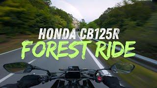 Honda CB125R Forest Ride | POV 4K