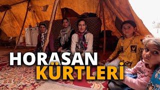 I am in the Kurdish nomads' tent in North Khorasan, Iran