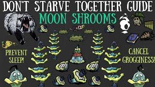 The "Hidden" Properties Of Moon Shrooms - Forgotten Knowledge [Don't Starve Together Guide]