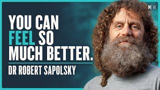 The Shocking New Science Of How To Manage Your Stress - Dr Robert Sapolsky